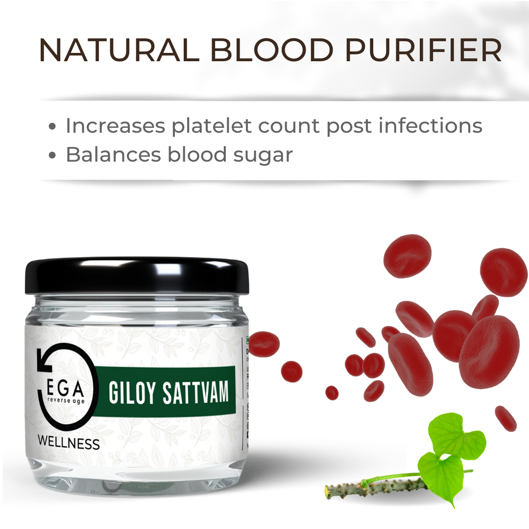 giloy the natural blood purifier