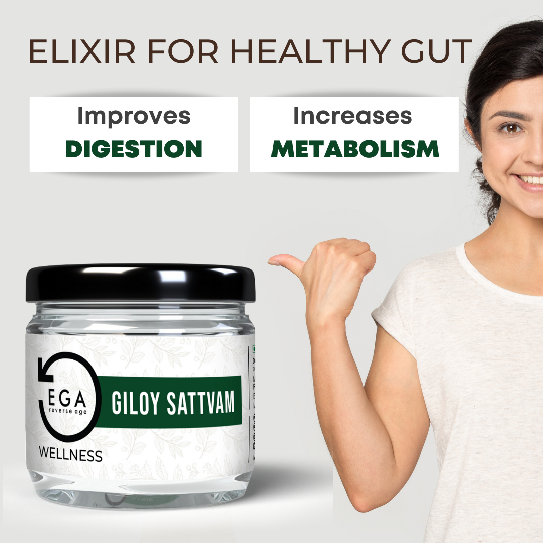 giloy supports healthy digestion and increases metabolism